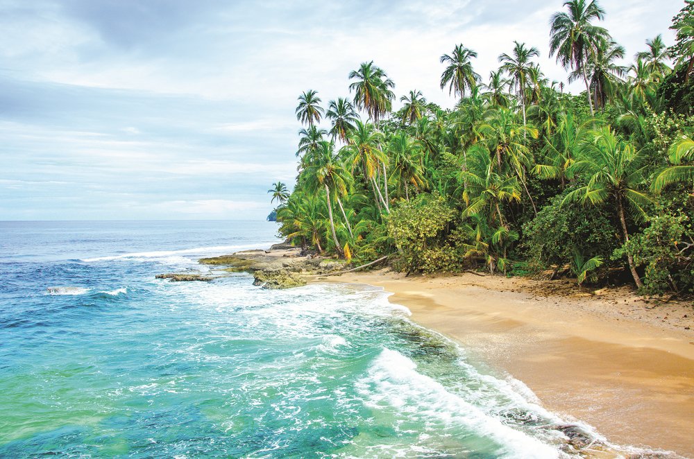 TravelAvanti's tweet photo. What we wouldn't do to be looking at this view right now. 
Especially with the 3rd night free. #travelavanti #beach
https://t.co/vdWutFYKM8 https://t.co/El7BDRLwUU