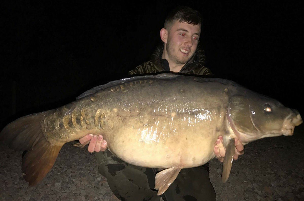 pro_baits's tweet image. A cracking Birch syndicate mirror going 35lb 1oz caught on squid and orange @richardcronin23 @kerro1982
