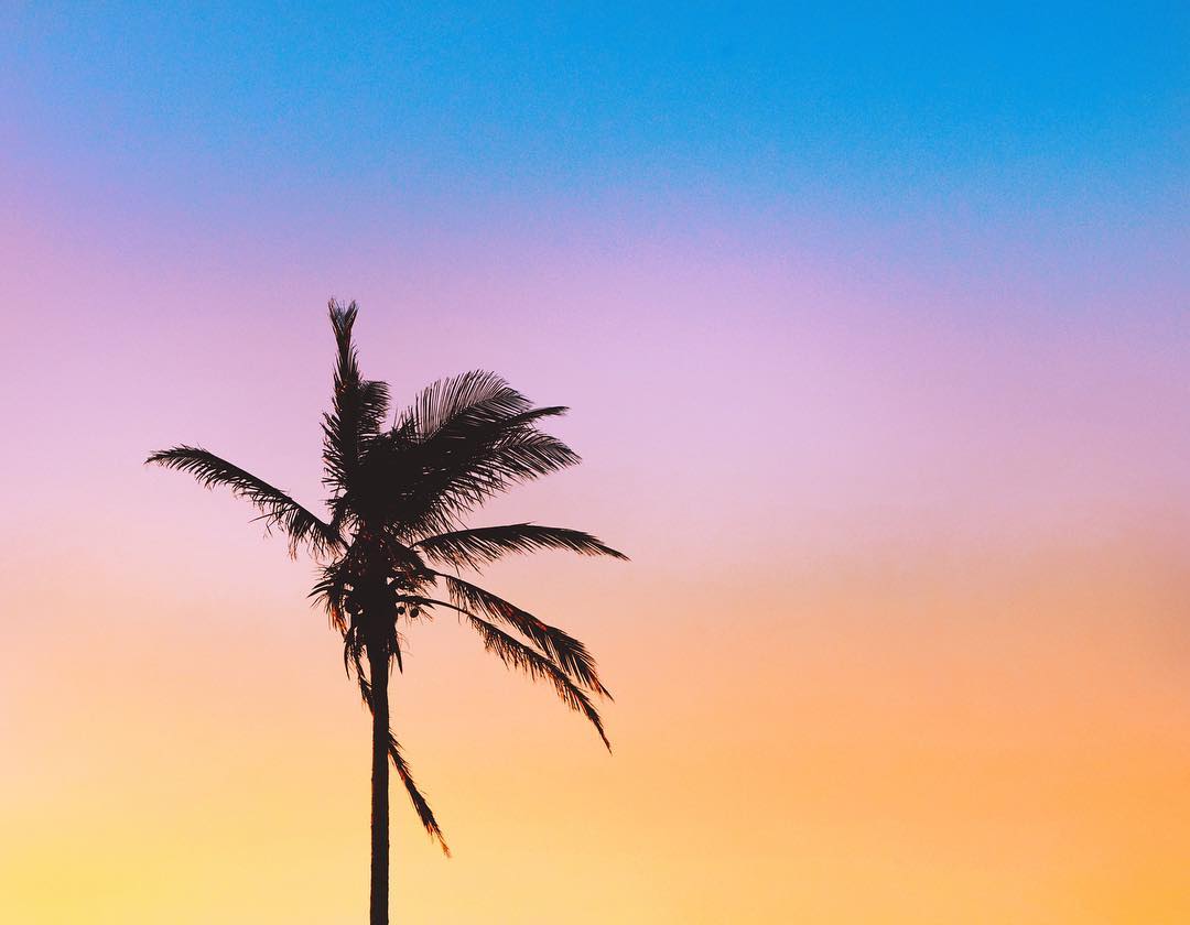 How do you hue? #HamiltonPrincess #Bermuda #SunsetSeries #Wanderlust #MondayMotivation  via <a href="/PrincessBermuda/">Hamilton Princess</a>