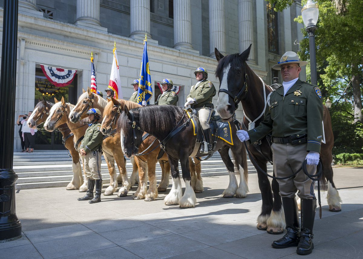 Crescent City CHP (ChpCity) Twitter