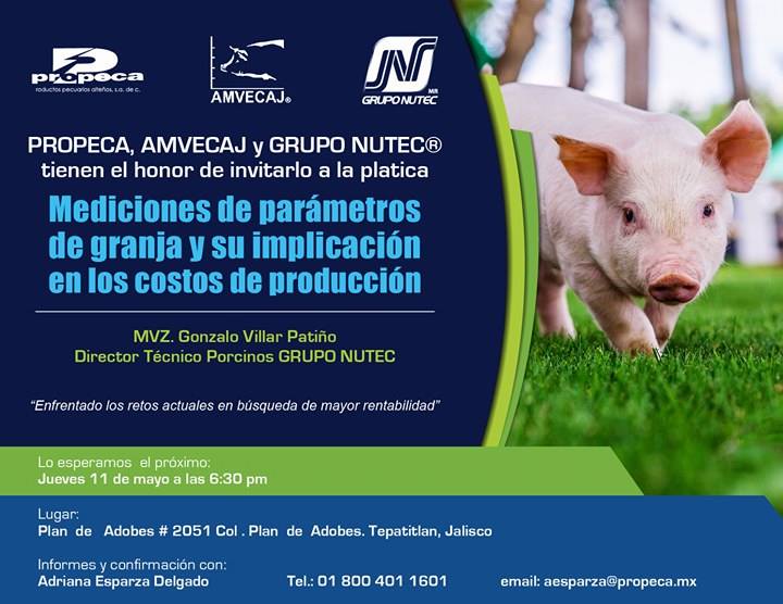 VisionPorcina's tweet image. #PROPECA nos invita a esta excelente ponencia ¡No faltes! 
#VisiónPorcina
visionporcina.com/ponencia-prope…