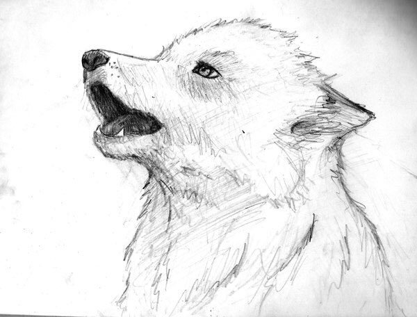 FireMaster213's tweet image. Erin the Prince of wolfs