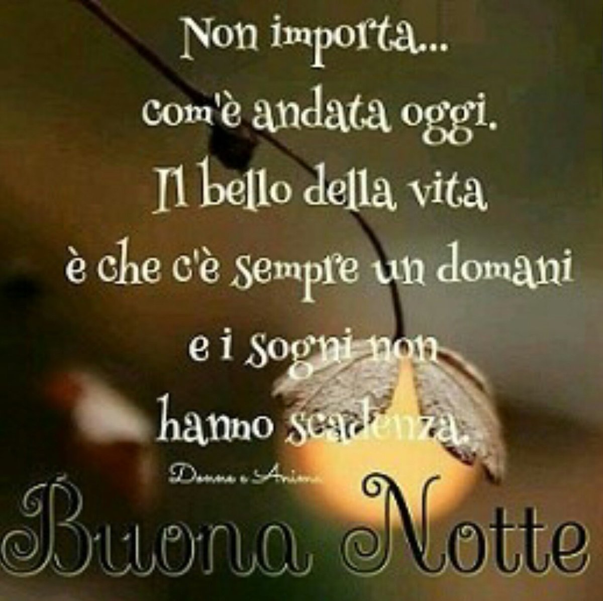 romypassaretti tweet picture