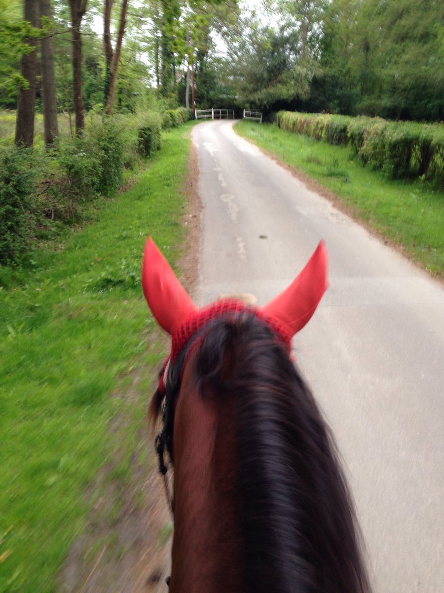 JoannaHolland80's tweet photo. Another 5miles ;) this time on our own ❤️ #hack1000miles #gettingmyconfidenceback #ilovemymare https://t.co/hBAxSYWu70