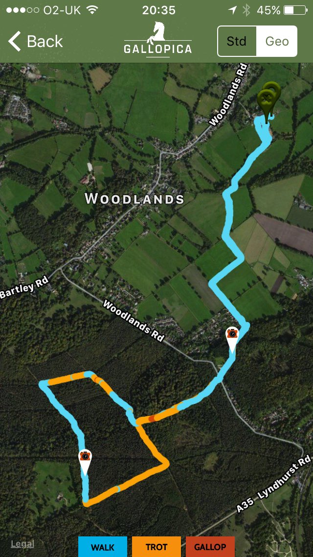 JoannaHolland80's tweet photo. Another 5miles ;) this time on our own ❤️ #hack1000miles #gettingmyconfidenceback #ilovemymare https://t.co/hBAxSYWu70