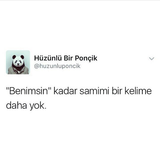 Merve’s pics and videos