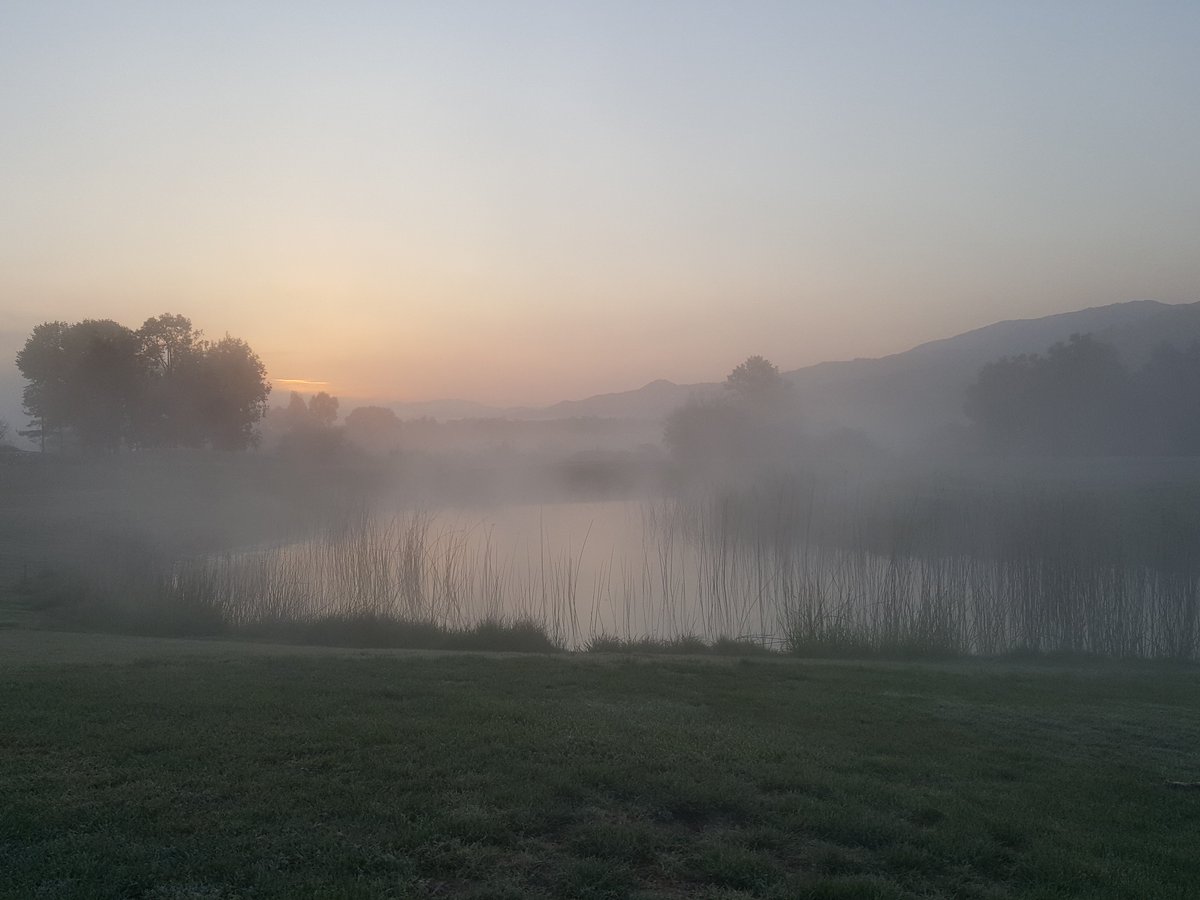 Alisal Guest Ranch tweet media