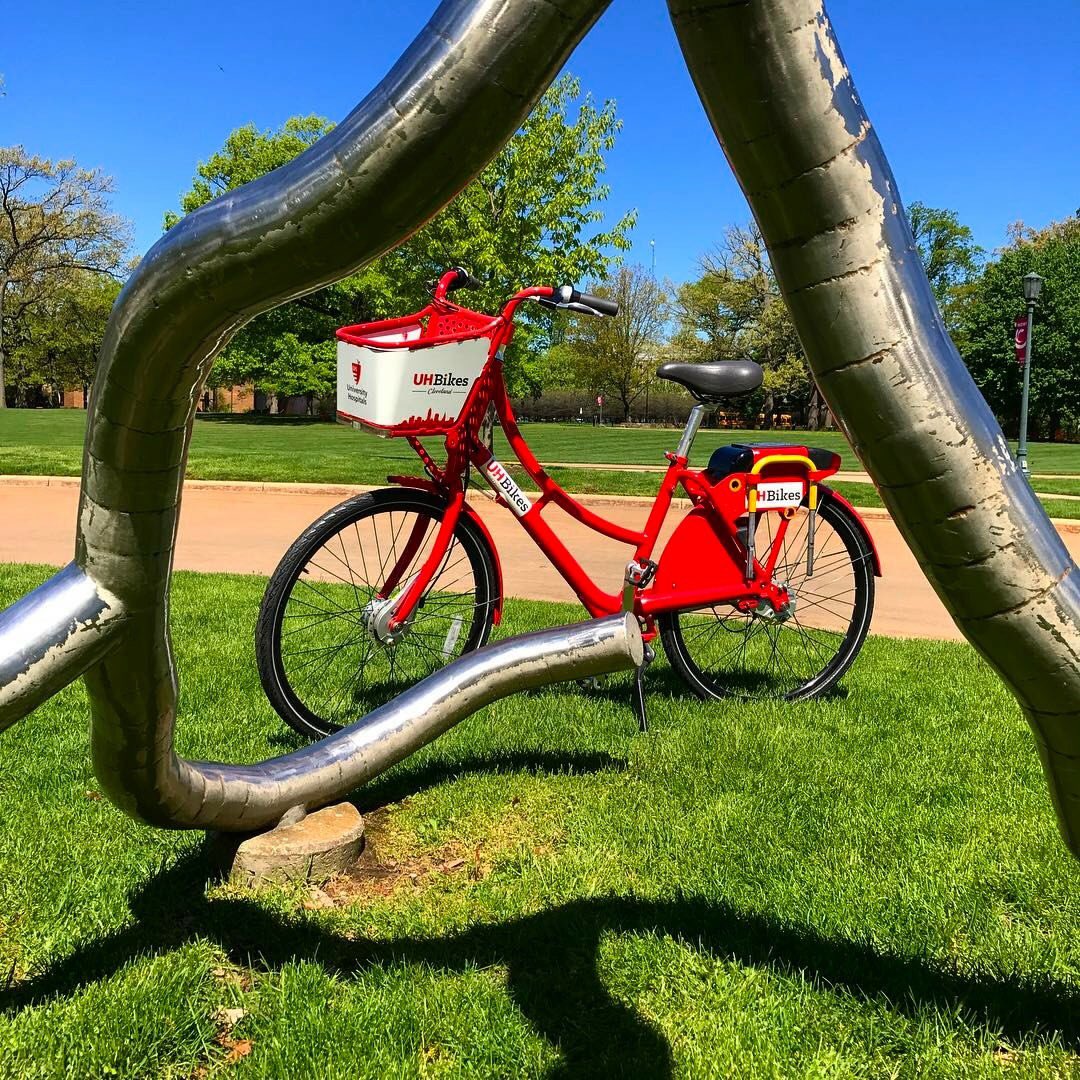 UHBikes's tweet photo. Today in #fieldshots @cbgarden https://t.co/dMe9IYiN4g
