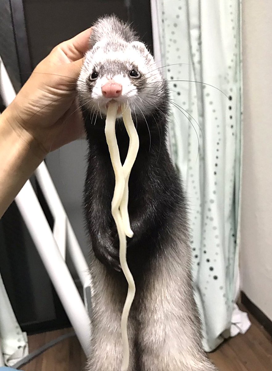 kirayusa's tweet photo. You are what you eat https://t.co/qJVBHYZmxg