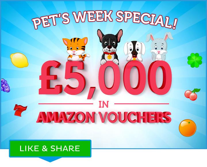 PoloBingoTweets's tweet photo. Play our Pet Tourney to win a £20 Amazon #GiftVoucher and lots more! Collect Puppies to win! More info @ your offers area Woof! T&amp;Cs apply https://t.co/ho85exGezy
