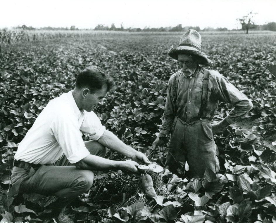 USDA_NIFA's tweet image. Today the Smith-Lever Act turns 103. Thanks to it, Cooperative Extension brings science-based knowledge directly to our nation's citizens.