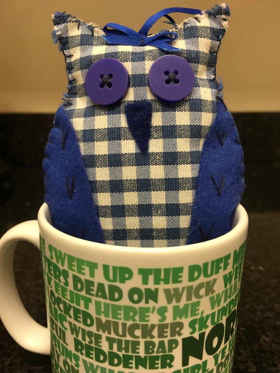 miniduffderek's tweet photo. #DerekJr is proud to return to our wee country and to see the Duffs. What a team! Congrats to Mrs Chambers and all @GCS_Dufferin #Dufferwin💙 https://t.co/SOfsdFi3z0