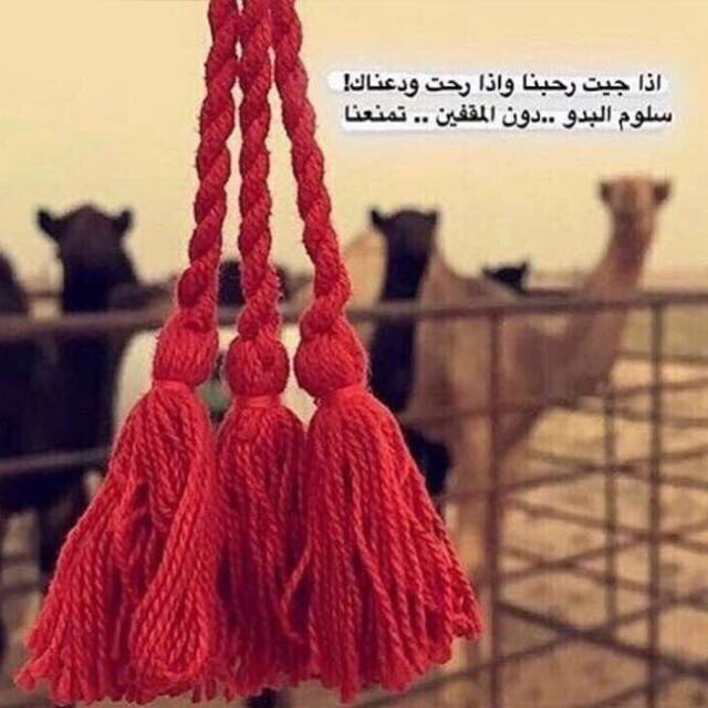 سلوم البدو دون المقفين تمنعنا