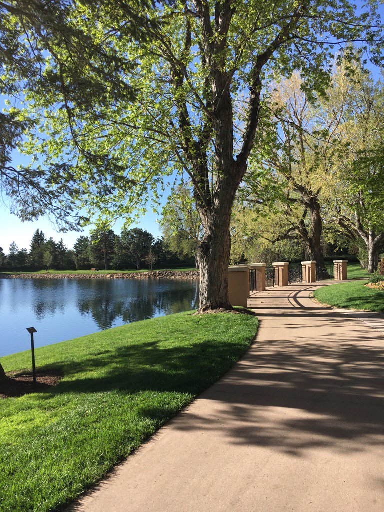 Qualbldrs's tweet photo. Gorgeous morning for a walk! #buildpoint17 https://t.co/Yax3y99fIs