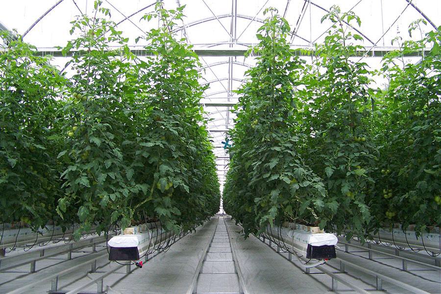 ugaatbouwen.com/inverca-agricu…