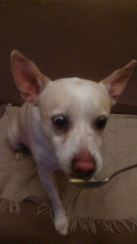 josepoider's tweet image. ...la consigue!!!