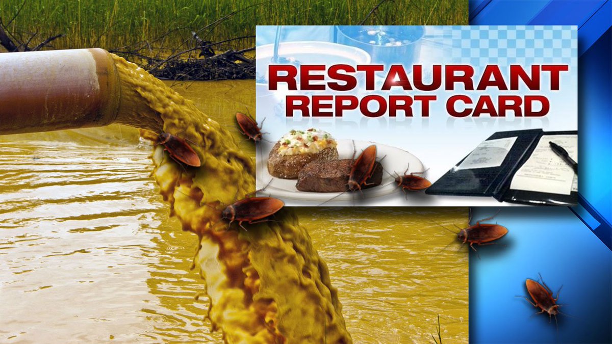 Roaches, raw sewage cause inspectors to shut down several S. Fla. restaurants bit.ly/2pZUKim https://t.co/6JbivIxJiU