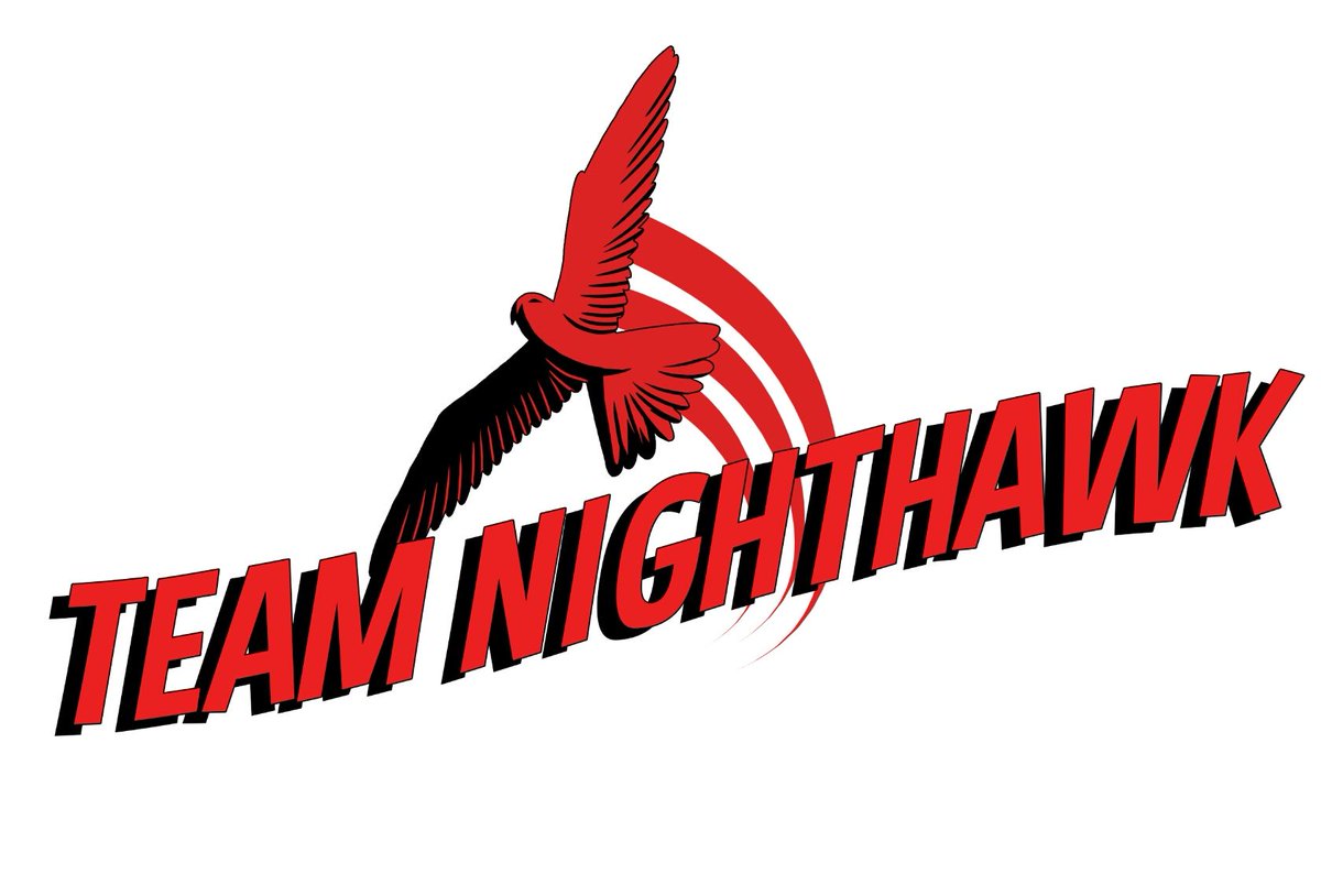 thelimitednight's tweet photo. Are you #teamnighthawk ? #gaming #limitednight https://t.co/KrOe2LXtSH