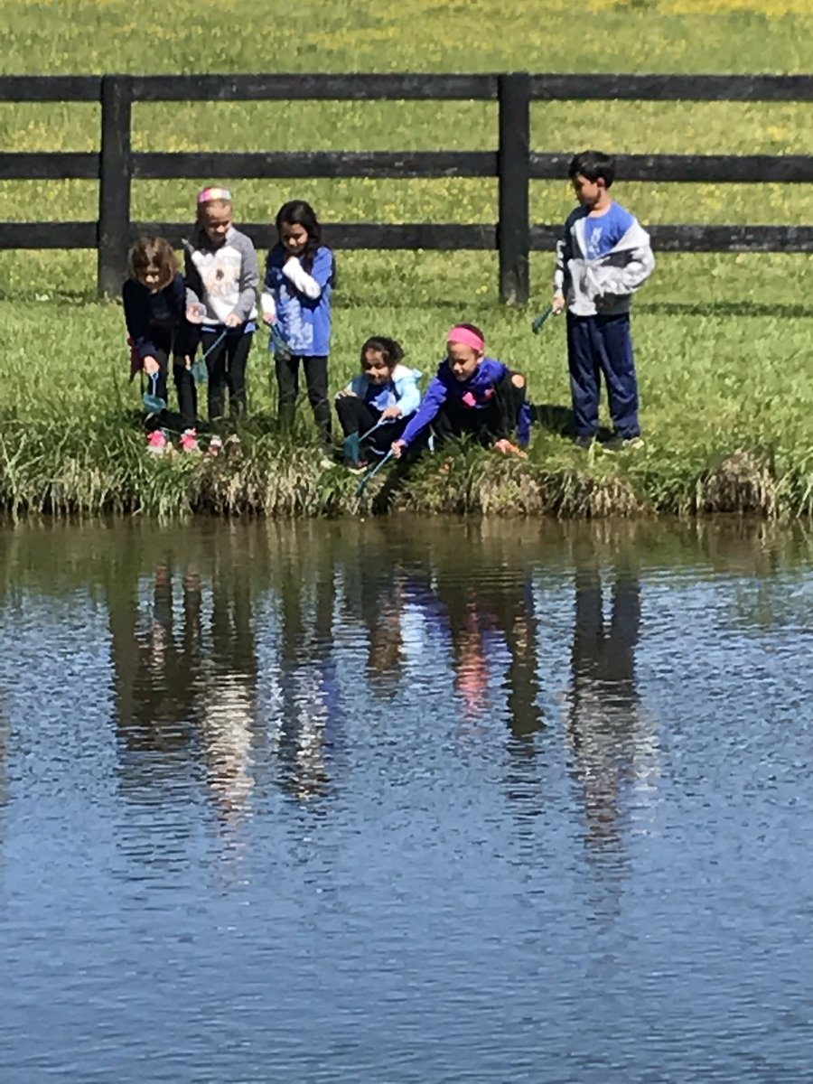 kandersonsclass's tweet photo. Beautiful spring day for a field trip! Catching tadpoles at Ballentine Farm #nle17 https://t.co/CjwBCs9fct