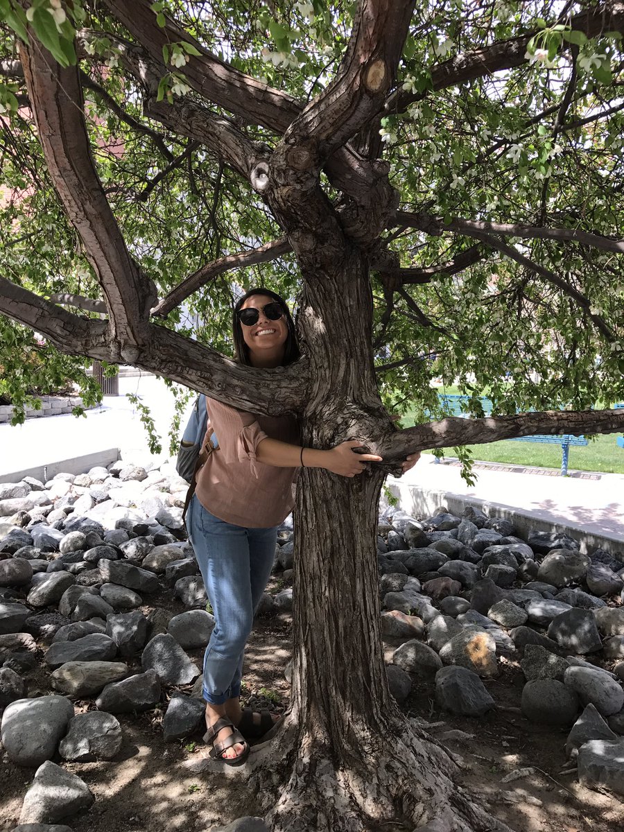 mirandamel_'s tweet photo. #hugatree #unrarboretum @UNRtrees https://t.co/VzA5hXIN2V