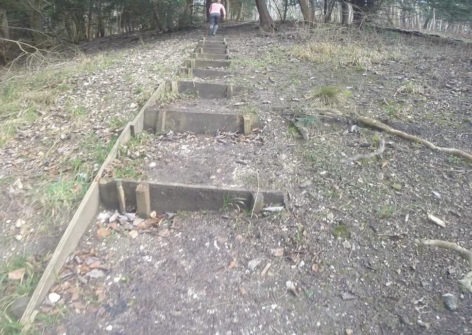 Southern Multisports tweet media