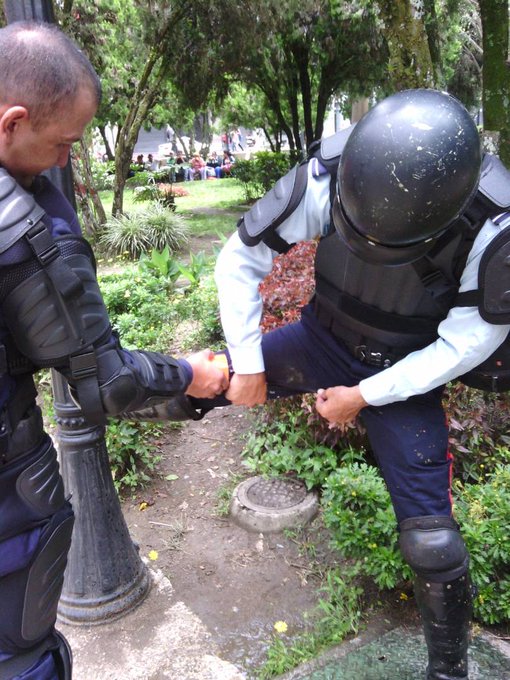 Ver imagen en Twitter Ver imagen en Twitter