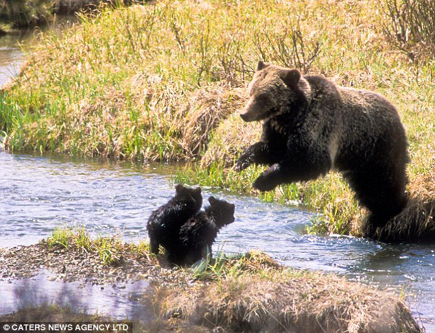 ivonnemagers's tweet photo. Mother's love is peace. It need not be acquired, it need not be deserved.
-... https://t.co/a4OcUS9wSm by #9HUrne5nPVQ7p5h via @c0nvey https://t.co/1519UMw5LC