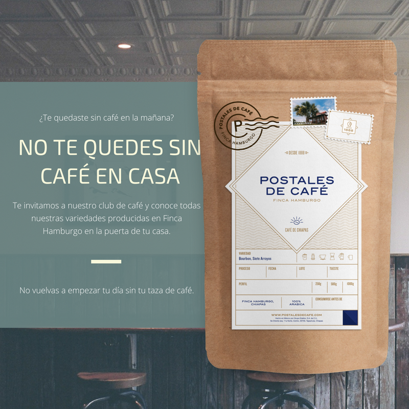 postalesdecafe's tweet photo. No te quedes sin café en casa y conviértete en un experto con nuestras suscripciones.

https://t.co/QMzWzT7jLD
...
#postalesdecafe https://t.co/Ufqx9SyLoE