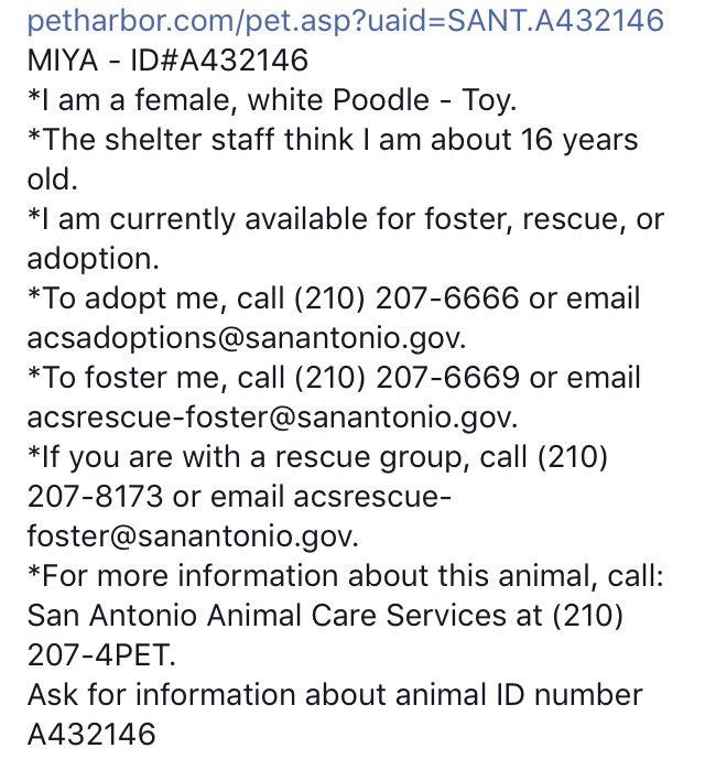 giselle1900's tweet photo. RESCUED❤️🙏🏻🎉💃🏼https://t.co/OB1SFFy64x 
-@DogRescueTweets @ruthmen @Gdad1 @Stacey5899 @WinglessBird_ @Rhonda777 @ParrishCarolyn @bbschumann https://t.co/KeunqJDjhq
