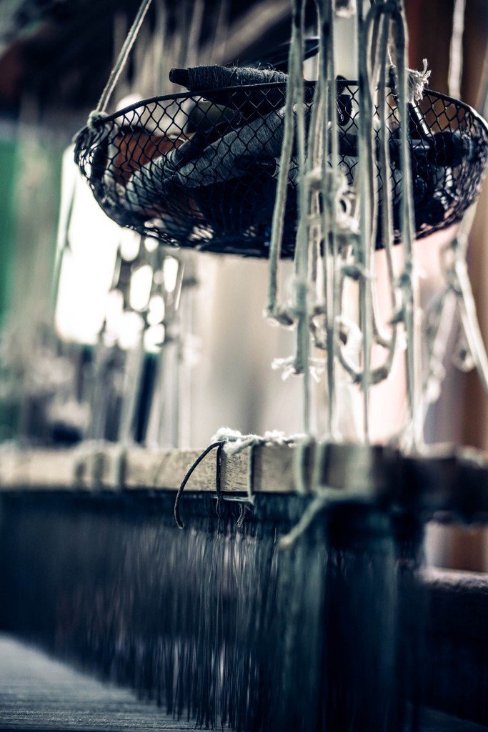 Fancy Crave tweet media