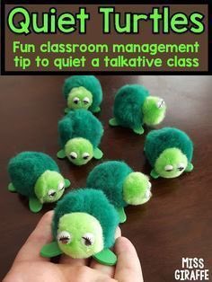 stevephyria's tweet photo. Not only are there quiet critters, there are quiet turtles!! #acuedu_p https://t.co/ZdkaNfticP