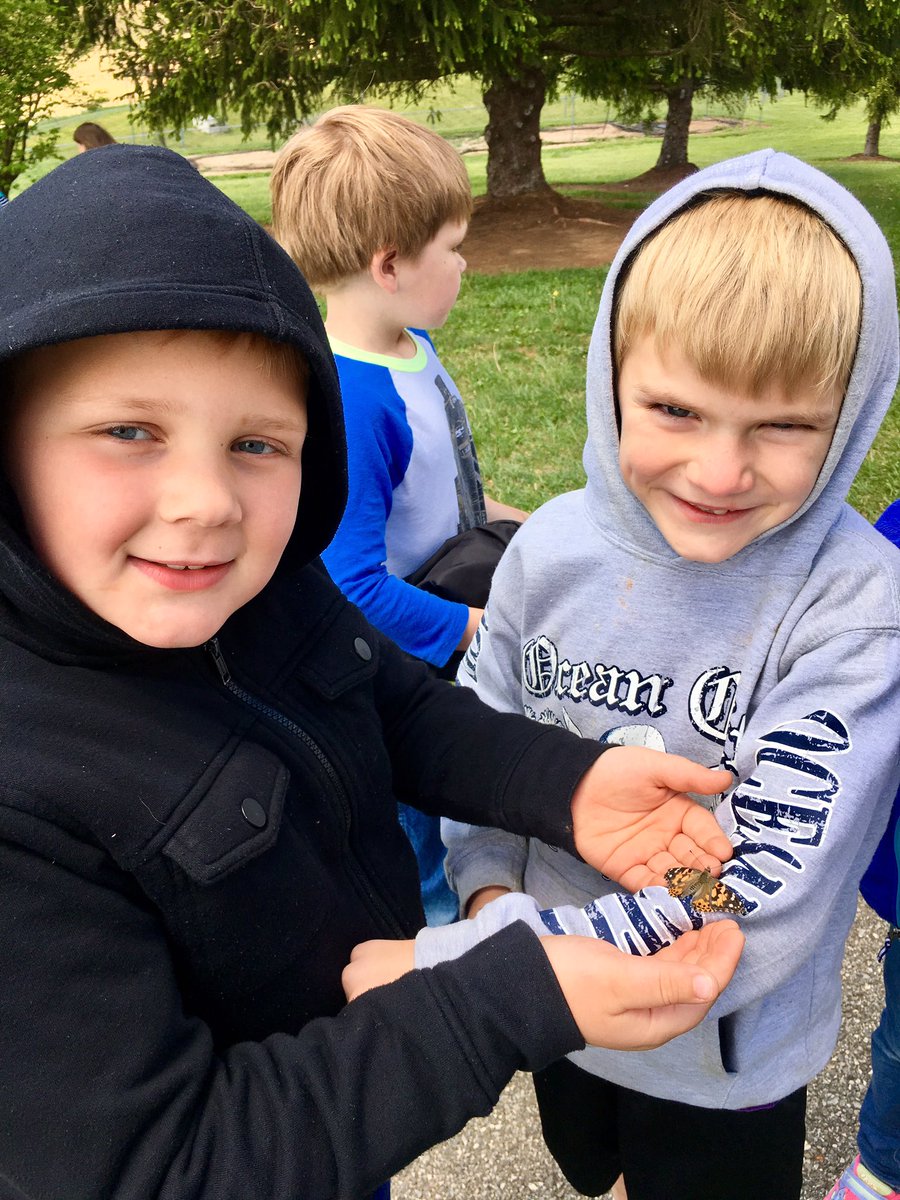 MrsPituch_SES's tweet photo. Releasing our butterflies today during science! #paintedlady #lifecycle #bittersweet #insectunit #handsonlearning #makingmemories https://t.co/lyzDQv0IOb