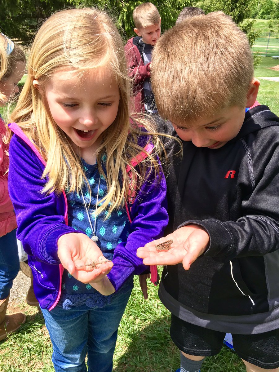 MrsPituch_SES's tweet photo. Releasing our butterflies today during science! #paintedlady #lifecycle #bittersweet #insectunit #handsonlearning #makingmemories https://t.co/lyzDQv0IOb