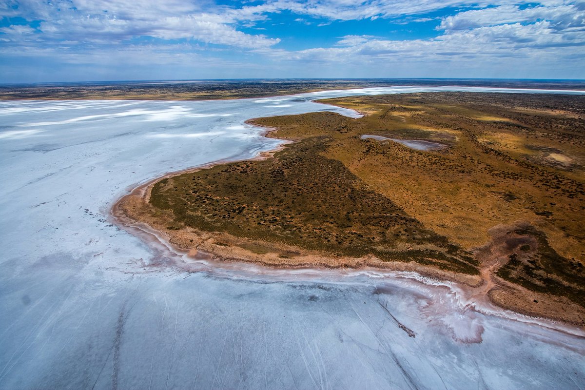 wonceptual's tweet photo. #kiwirrkurra #gibsondesert #northaustralia #australia #beach #coast #highangleshot #landscape #motion #nature #ocean #seascape #seashore https://t.co/DfymtJXpmd