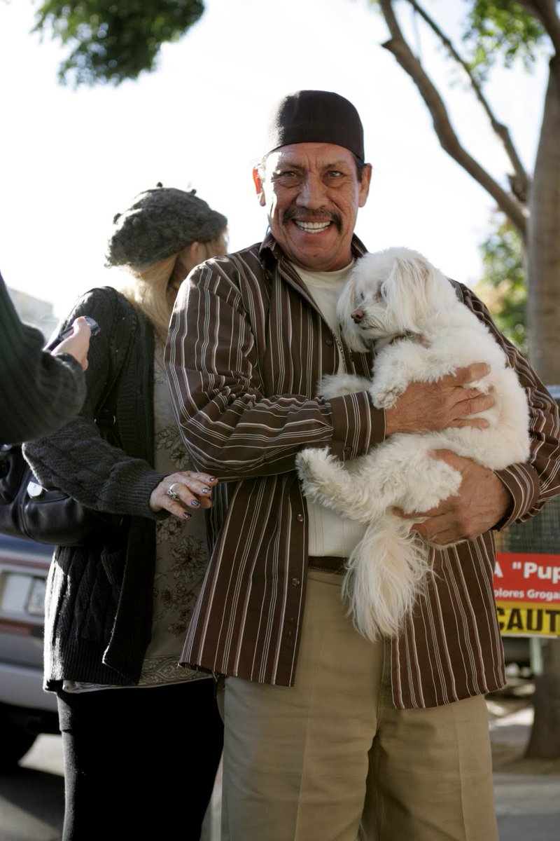 Never judge a book by its cover. Unless it's Danny Trejo holding a puppy. He loves puppies 🐶💖 #FixAnAnnoyingSaying https://t.co/Ewq6W643DI
