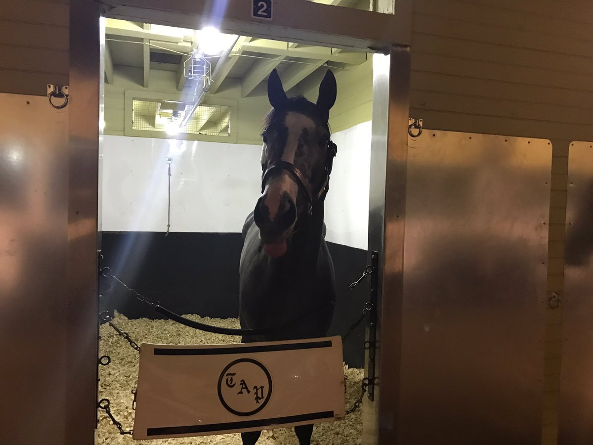 Eclipse Thoroughbred Partners (@eclipsetbp) on Twitter photo Tapwrit has arrived at Belmont Park in the wake of his gutsy 6th place result in the KY Derby #BelieveBig <a href="/bridlewoodocala/">Bridlewood Farm</a> <a href="/JohnPanagot/">John Panagot</a> Tapwrit has arrived at Belmont Park in the wake of his gutsy 6th place result in the KY Derby #BelieveBig <a href="/bridlewoodocala/">Bridlewood Farm</a> <a href="/JohnPanagot/">John Panagot</a>