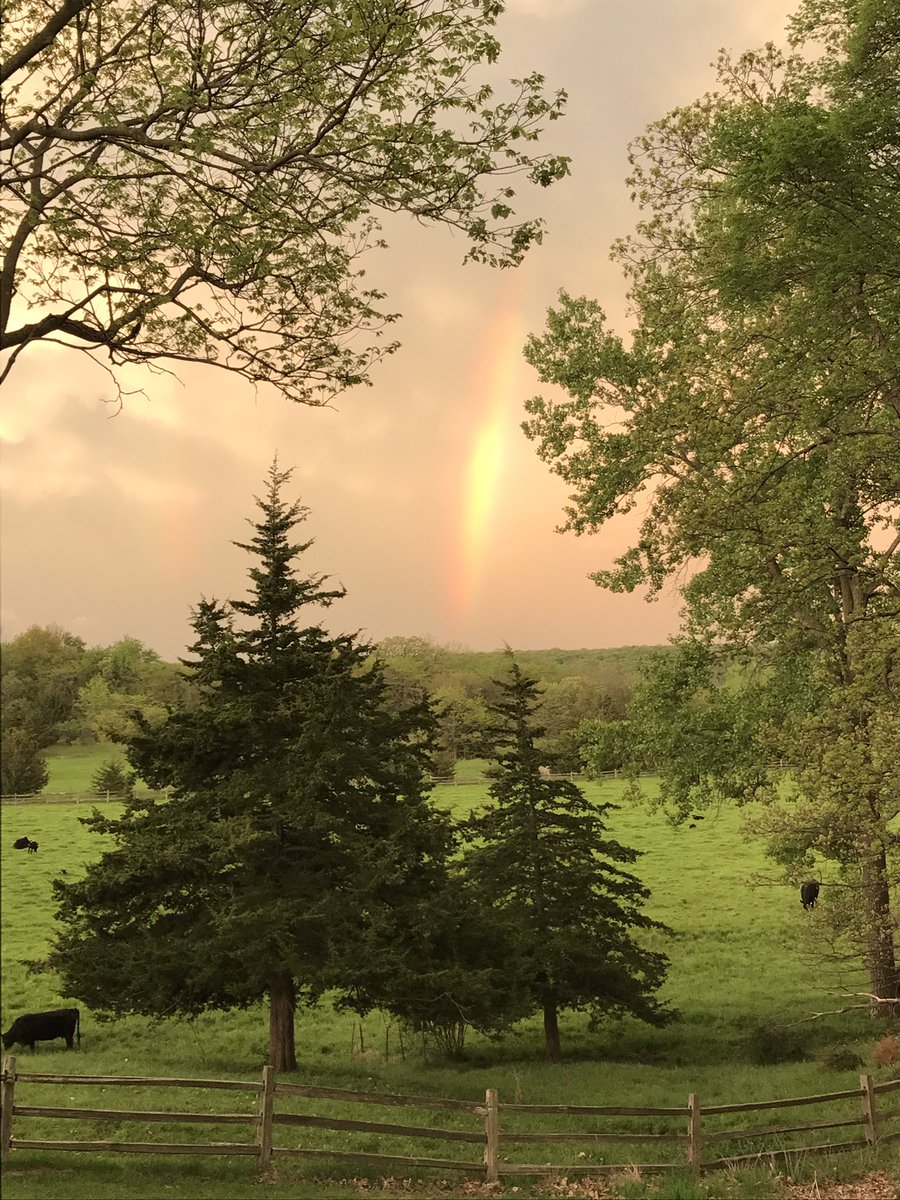Alt_Farms's tweet photo. This morning sun coming from east &amp; rain from west collided to make #rainbow in backyard &amp; pasture

#justpretty 
#nopointtothis https://t.co/5O48noerka