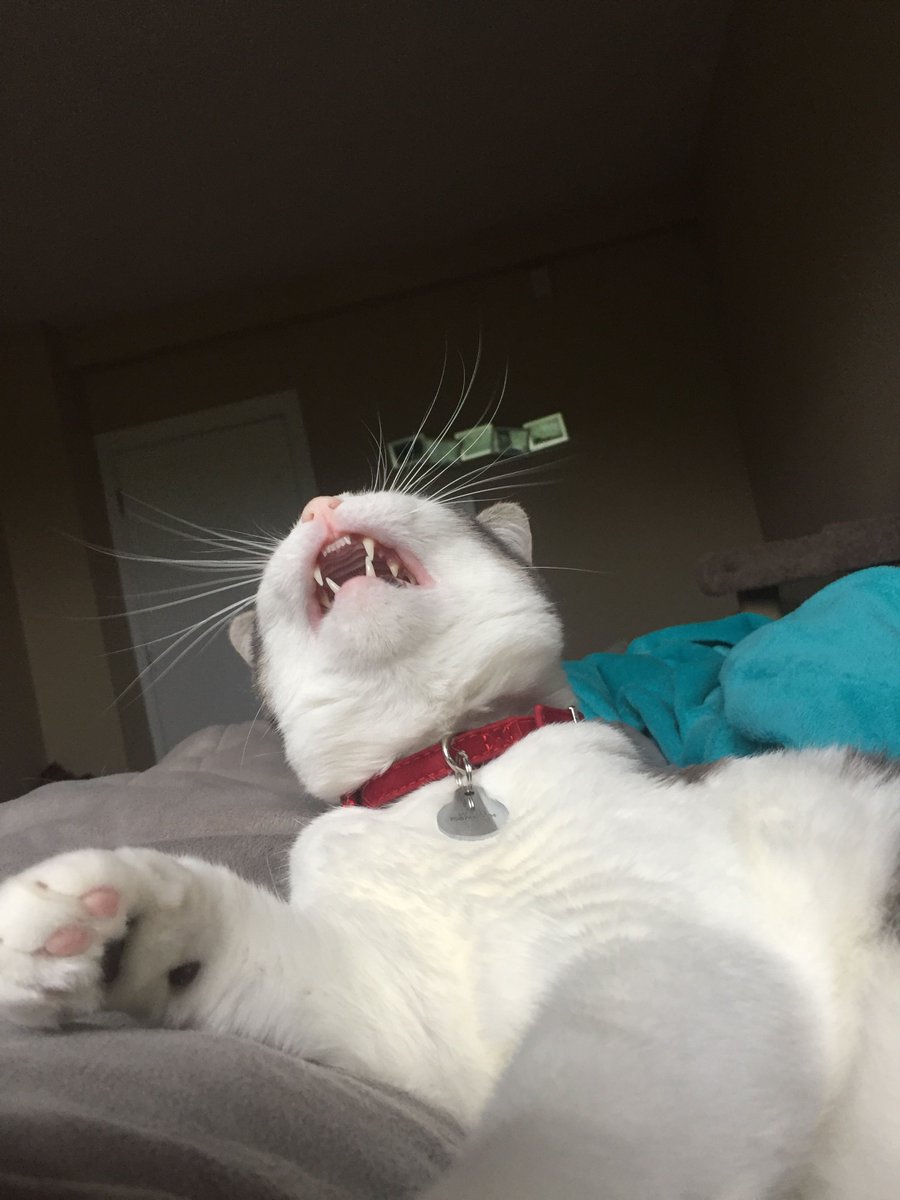 Mondays, amiright?