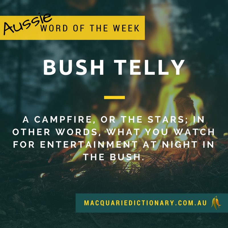MacqDictionary's tweet photo. Our #WordoftheWeek is #bushtelly. Do you use this Aussie slang? https://t.co/qSj2NRbWf1 https://t.co/MBZFiaCuhX