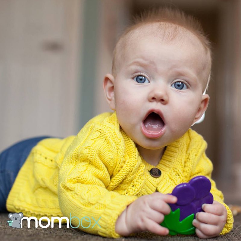 mombox_co's tweet photo. Cuando les empiezan a salir los dientes 👶🏽👣🐨¿cómo alivias las molestias? 🌟https://t.co/HpwkkEbCBa #TiendaMombox  #miprimerdiente #Denticion https://t.co/KzMhWhDwJ3