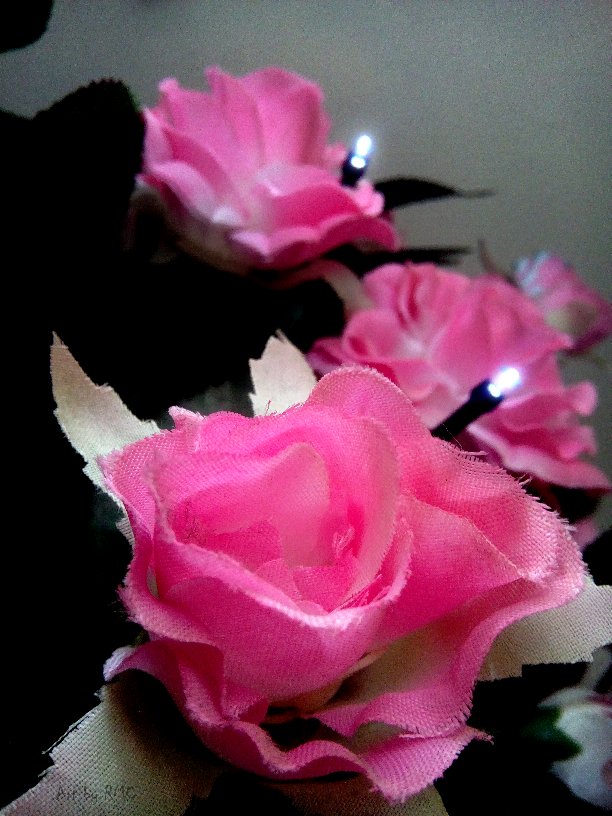 Art_Rmc's tweet photo. #mobilephotography #roses #lights #photography #photoedit Taken on my #AlcatelOneTouch #flowers https://t.co/sSvKhKxDj9