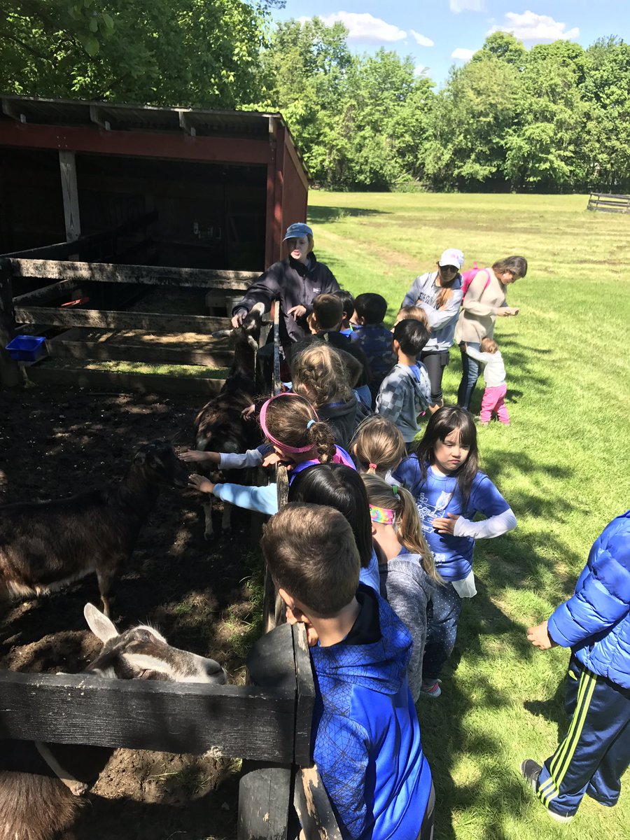 kandersonsclass's tweet photo. Learning about the animals on the farm: goats, chickens, pigs, horses #nle17 https://t.co/yg68DuuAP6