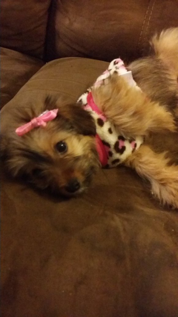 My Baby Muffy 😚😍