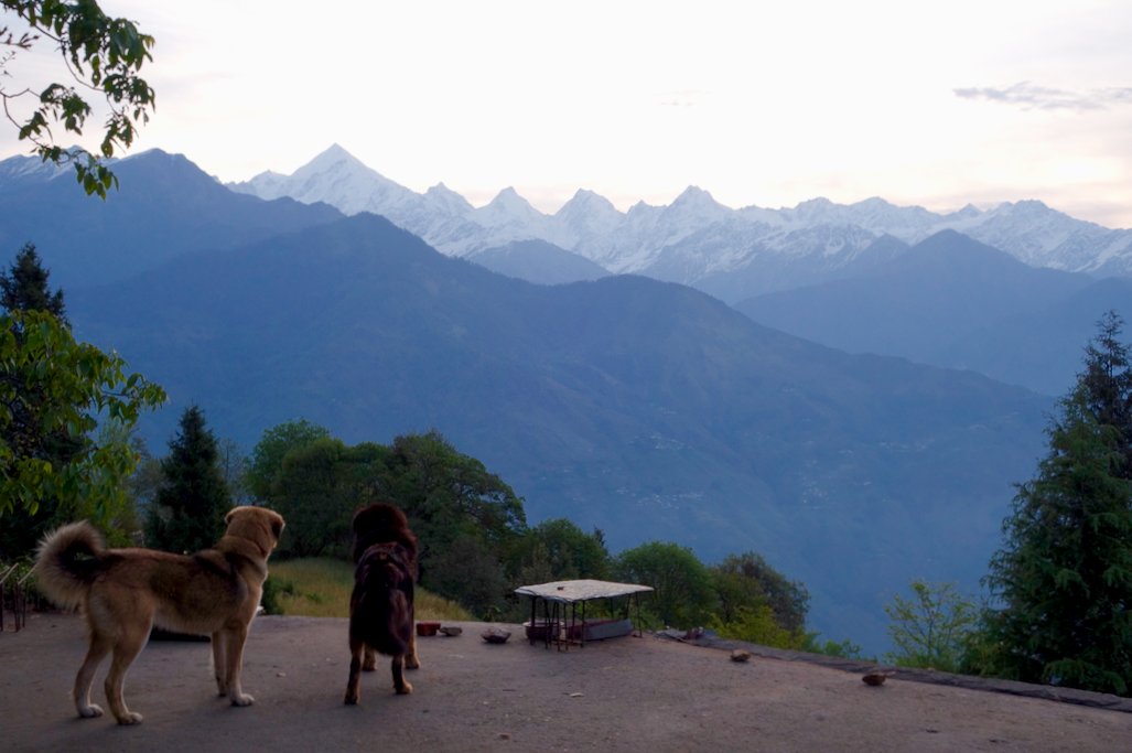 shivya's tweet photo. Proof that this morning's sunrise above the Panchachulis was worth the wait ;-) 

#uttarakhand #himalayas #slowtravel https://t.co/PQ6UPvDlii