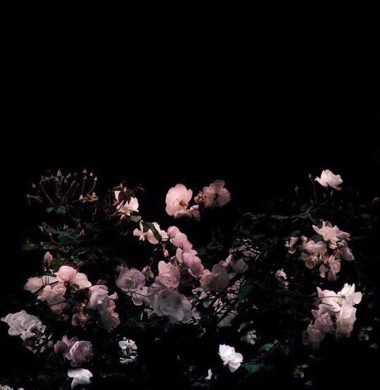 urieaesthetic's tweet photo. i don't belong to anyone https://t.co/WJ1jbe4EE9
