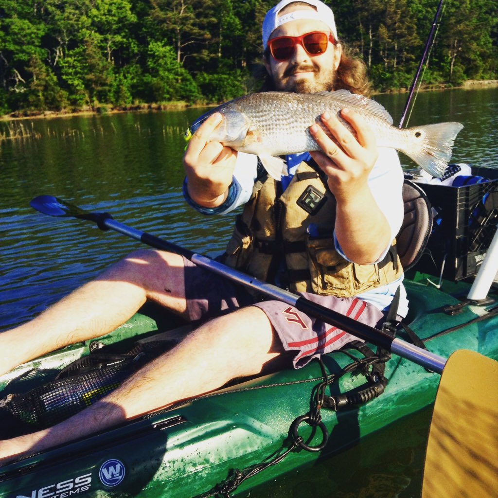 chesafreakboyz1's tweet photo. The last 3 trips to #rudeeinlet have been fantastic. All the redfish, trout and bluefish you could want #Kayakfishing #puppydrum https://t.co/0oLCur5k7z