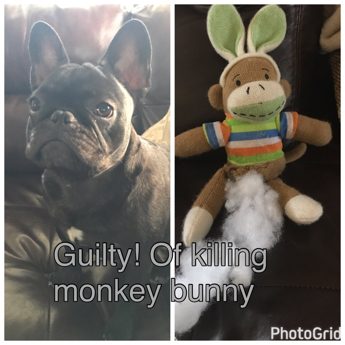 Cammie Newton Baker was found guilty of killing Bunny Monkey. She's refused to comment.