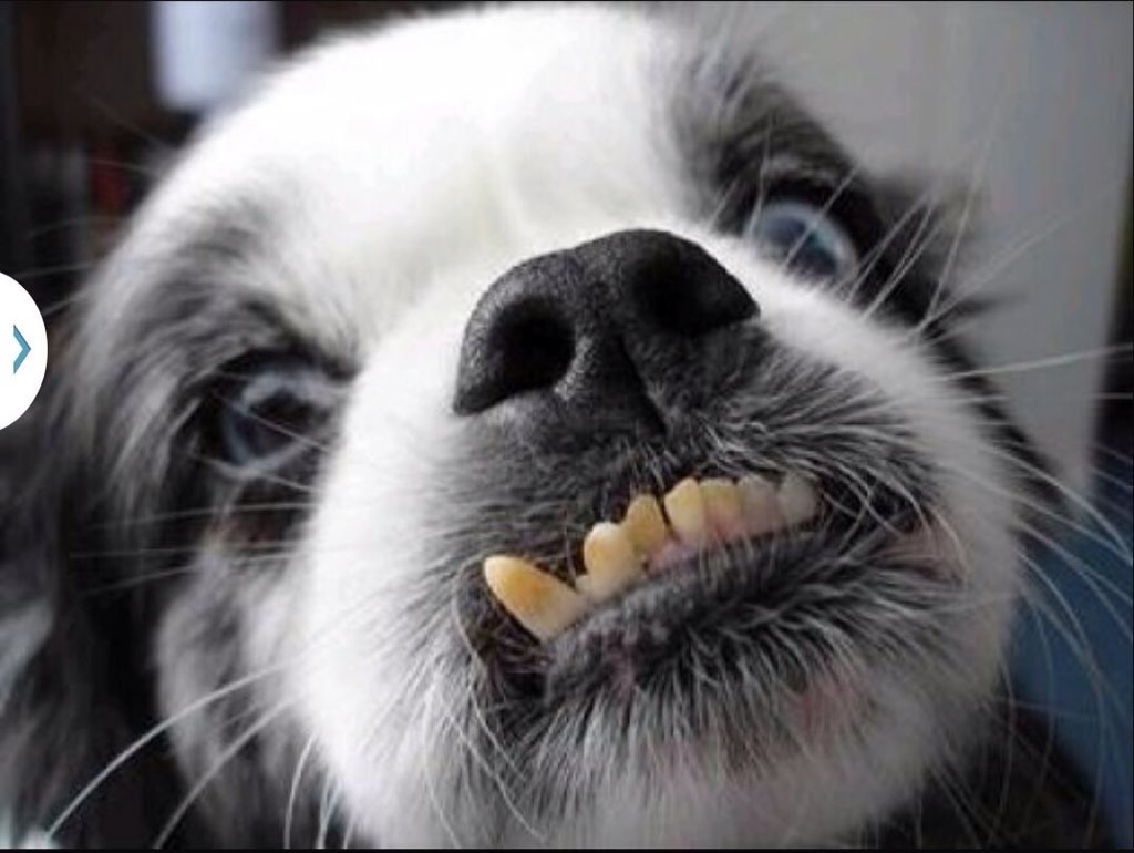 Hasta mañana--basoouraaaaass