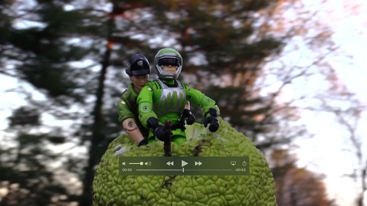 Brandon DiCamillo tweet media