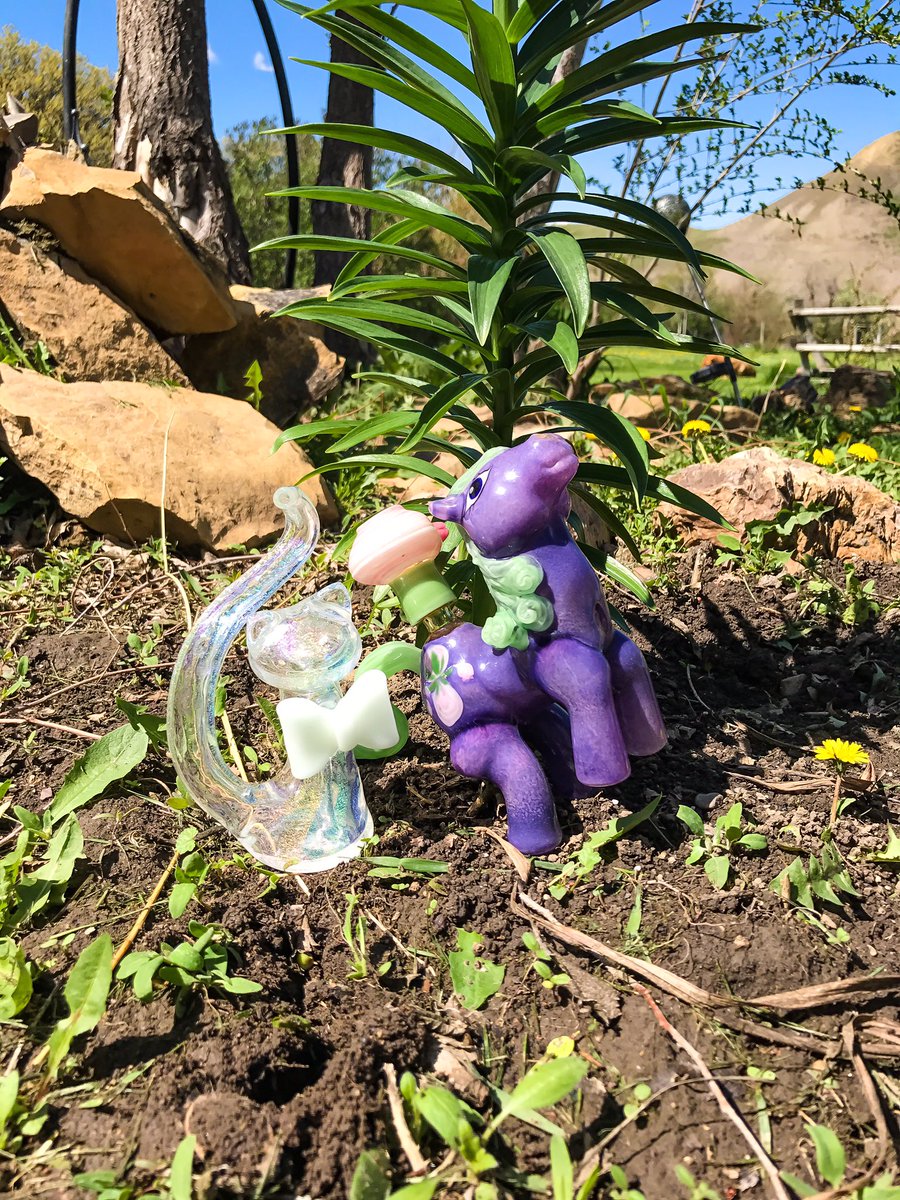 globgerrls's tweet photo. We hope this helps with the #Mondayblues #sakibombglass #corinnewintersglass #globgerrls https://t.co/FsvShJKMLO